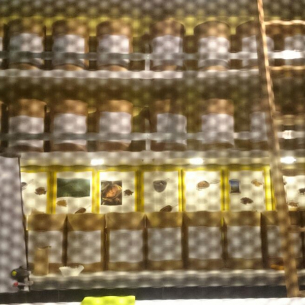 Galería 2